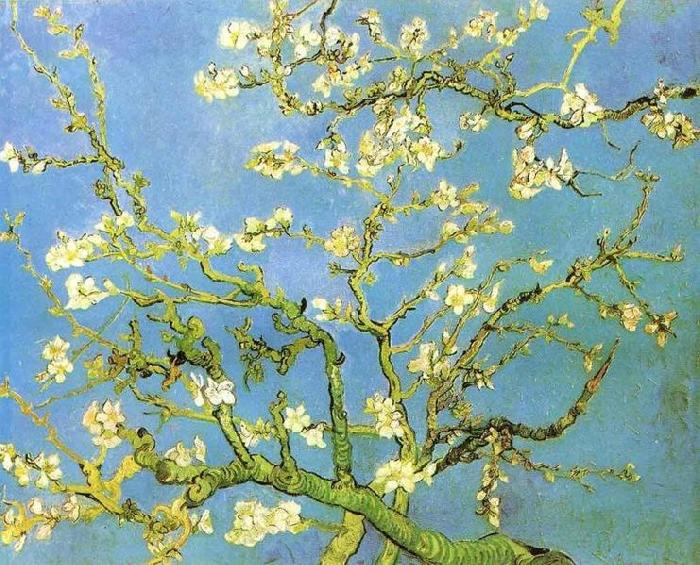 Vincent Van Gogh Blossomong Almond Tree oil painting image